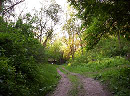 Macktra